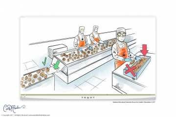 Only the finest mushrooms are hand selected - Business Illustration and Videos