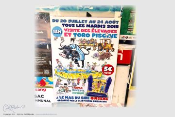 Splashing Bull in bathing suit - Toro Piscine Poster