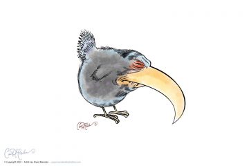 Very Angry Bird