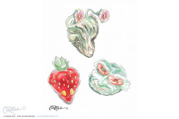 Fruit and Vegetable Heads