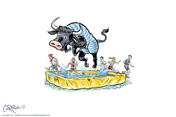Splashing Bull