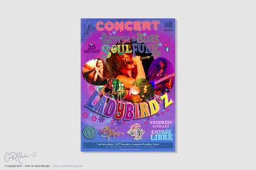 Affiche Concert Ladybird'z - Rhythm Blues Soul Funk