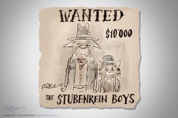 Wanted: The Stubenrein Boys