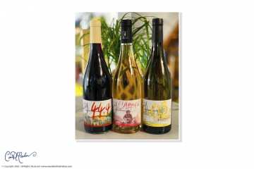 Red, Rosé and White Wine Labels
