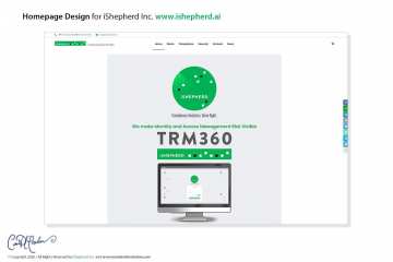 Logo Design - Financial Software - Homepage Design in Wordpress