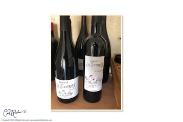 Domaine les Tuileries, Pic St Loup, Vin Rouge, Creation Etiquette Wine Label Design, Hand drawn Logo  and Illustration