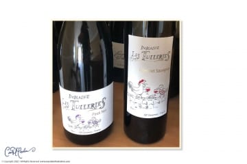 Domaine les Tuileries, Pic St Loup, Vin Rouge, Creation Etiquette Wine Label Design, Hand drawn Logo  and Illustration